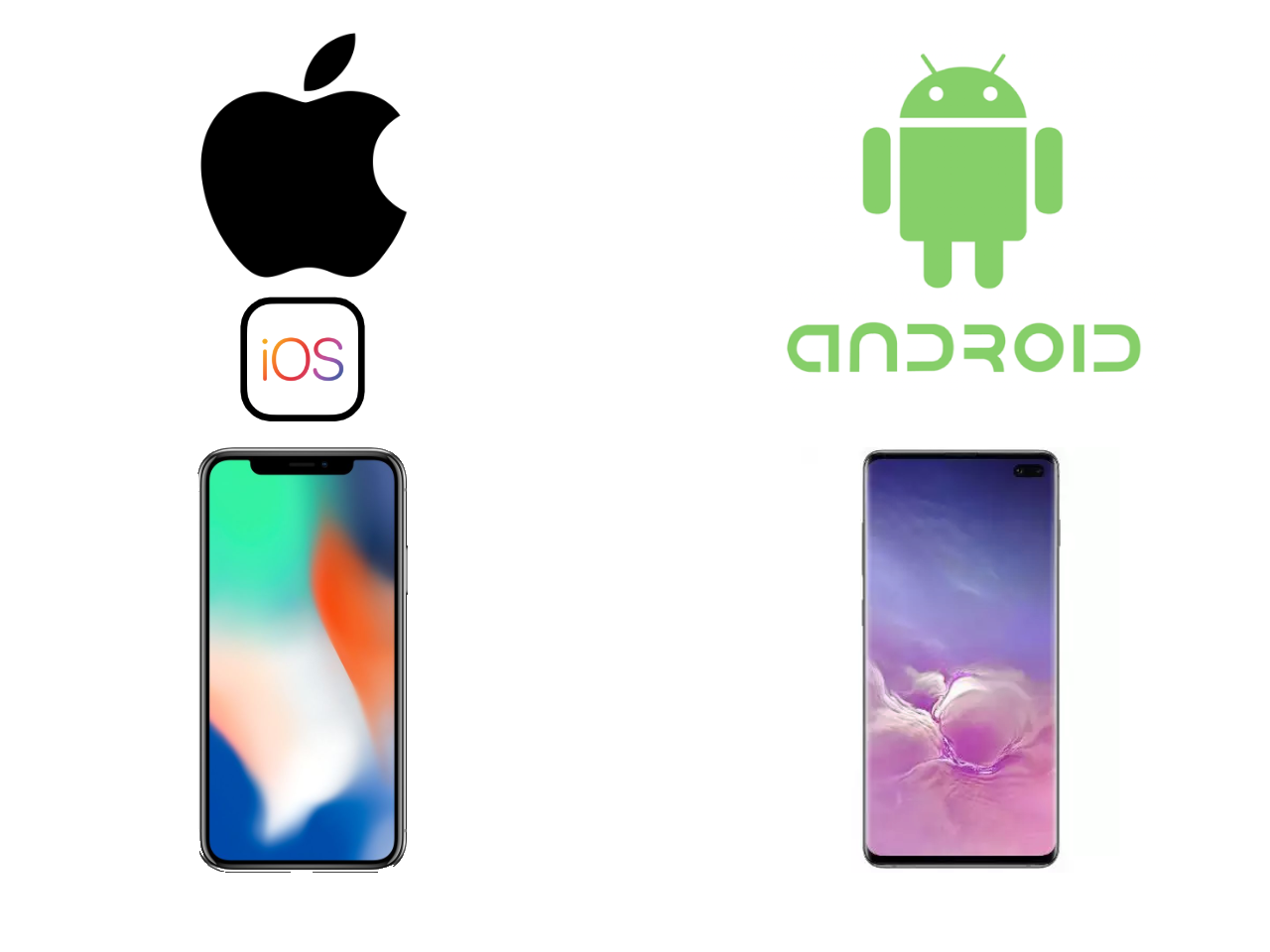 Website to Mobile App Conversion Process - iOS and Android